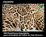 Especialista para el Combate de Tráfico de Vida Silvestre - oficina de Brasil