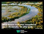 Consultoría - desarrollo sitio web Red Ciencia Ciudadana para la Amazonía