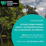 Consultoría - estudio sobre minería ilegal y de pequeña escala en la Amazonía Occidental