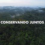 ALIANZA ENTRE WCS Y USAID FORTALECE COLABORACIÓN REGIONAL DE LA SOCIEDAD CIVIL PARA PREVENIR DELITOS AMBIENTALES EN LA AMAZONÍA