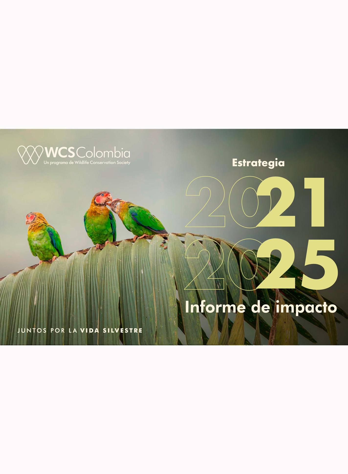 INFORME ESTRATEGIA 2021-2025