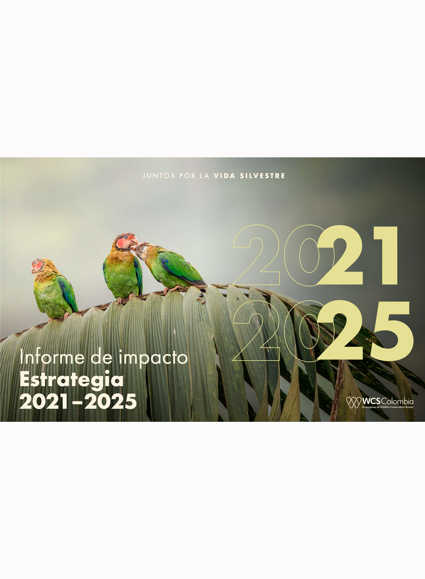 INFORME ESTRATEGIA 2021-2025